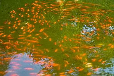 《赛博朋克2077》Xbox数字版将于7月6日结束退款